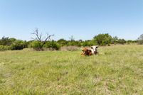 Land for sale in Hamilton County, Texas