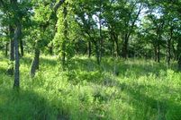 Undeveloped Land for sale in Wise County, Texas