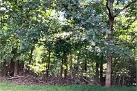 Undeveloped Land for sale in Gilmer County, Georgia