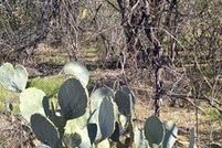 Land for sale in Bexar County, Texas