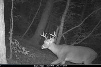 Lakefront Property for sale in Delaware County, New York