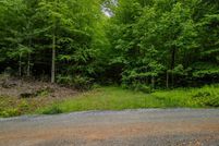 Undeveloped Land for sale in Fannin County, Georgia