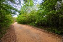 Land for sale in Winston County, Alabama