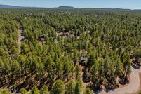 Land for sale in Navajo County, Arizona