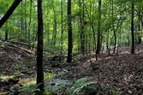 Undeveloped Land for sale in Union County, Georgia