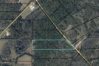 Undeveloped Land for sale in Holmes County, Florida