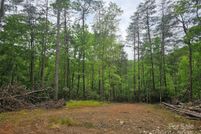 Timberland Property for sale in McDowell County, North Carolina
