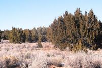 Recreational Property for sale in Apache County, Arizona