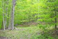 Timberland Property for sale in Greenbrier County, West Virginia