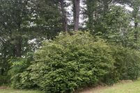 Land for sale in Pulaski County, Arkansas