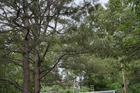 Land for sale in McCurtain County, Oklahoma