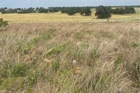 Land for sale in Wilson County, Texas