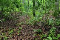 Land for sale in Watauga County, North Carolina