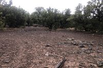 Land for sale in Apache County, Arizona