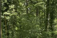 Land for sale in Fulton County, Georgia