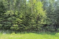 Land for sale in Presque Isle County, Michigan