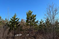 Land for sale in Lincoln County, Wisconsin