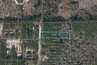 Undeveloped Land for sale in Taylor County, Florida