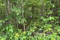 Timberland Property for sale in Fentress County, Tennessee