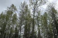 Homesite for sale in Fairbanks North Star Borough, Alaska