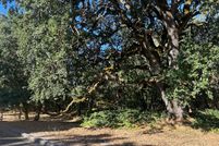 Land for sale in Sonoma County, California