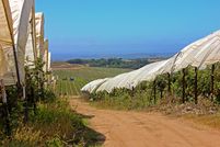 Land for sale in Monterey County, California