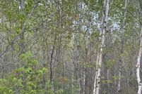 Undeveloped Land for sale in Oneida County, Wisconsin