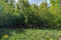 Undeveloped Land for sale in Marathon County, Wisconsin