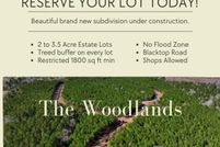 Undeveloped Land for sale in Livingston Parish, Louisiana