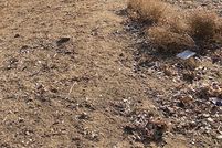 Farm and Ranch for sale in Los Angeles County, California