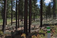 Undeveloped Land for sale in Douglas County, Nevada