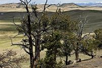 Land for sale in Park County, Colorado