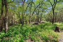 Land for sale in Hays County, Texas