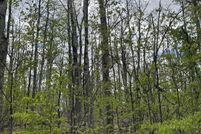 Homesite for sale in Otsego County, Michigan