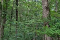 Land for sale in Franklin County, Virginia
