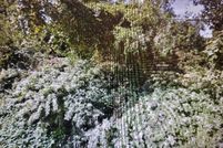 Recreational Property for sale in Bristol County, Massachusetts
