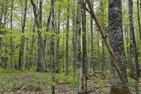 Land for sale in Houghton County, Michigan