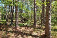 Hunting Property for sale in Gogebic County, Michigan