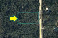 Undeveloped Land in Jackson County, Florida