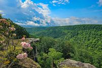Farm and Ranch for sale in Van Buren County, Tennessee