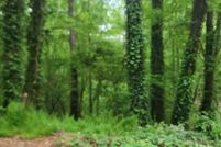 Undeveloped Land for sale in Cobb County, Georgia