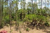 Land for sale in Lee County, Florida
