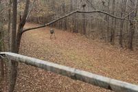 Farm and Ranch for sale in Marion County, Alabama