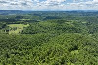 Undeveloped Land for sale in Scott County, Virginia