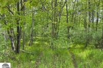 Land for sale in Isabella County, Michigan