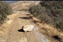 Land for sale in Los Angeles County, California