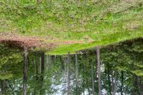 Undeveloped Land for sale in Pamlico County, North Carolina