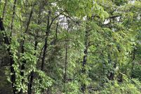 Land for sale in Fulton County, Arkansas