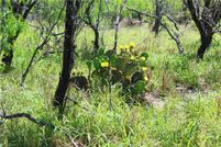 Farm and Ranch for sale in Kleberg County, Texas