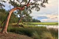 Land for sale in McIntosh County, Georgia